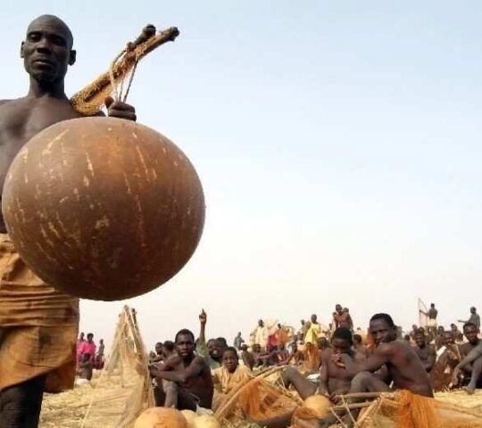 Argungu Festival: Africa’s Biggest Fishing Celebration